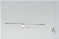 Bracciale Morellato Donna Love in Acciaio Zirconia SADR05 - SADR05